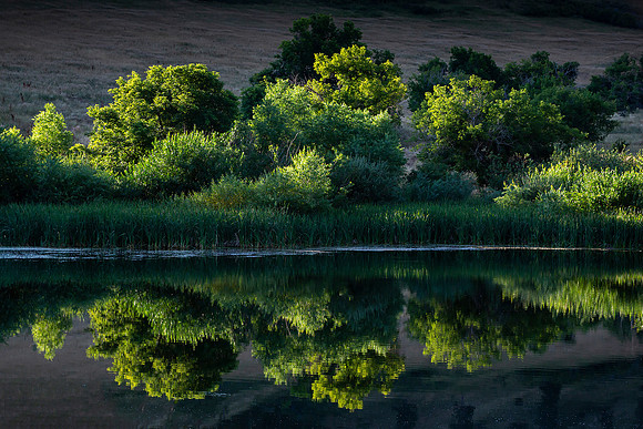 Pass Creek Reflections