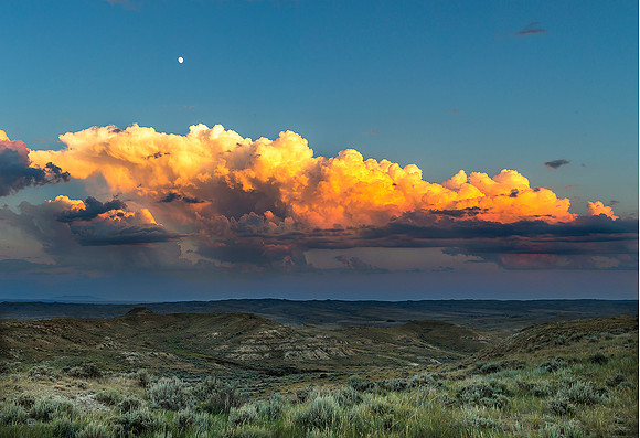 Moon Over Sage