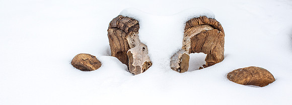 Another Wyoming Winter