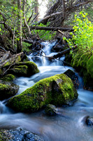 Spring Run-Off