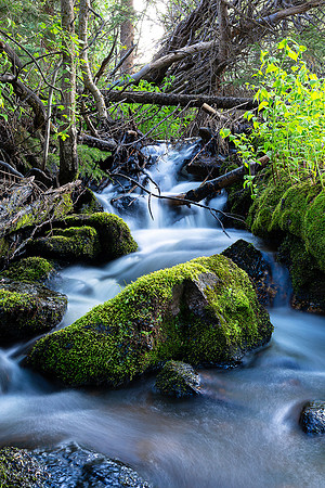 Spring Run-Off