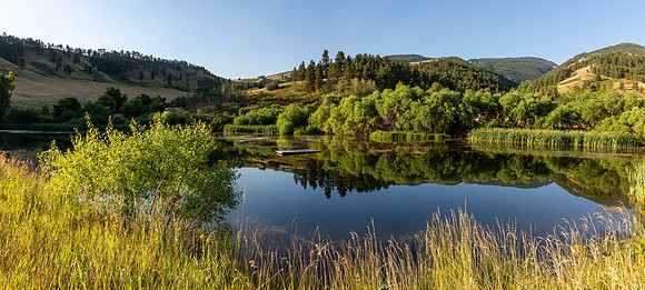 Pass Creek Pond